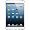 Apple iPad mini 16Gb Wi-Fi + Cellular белый - Архангельск